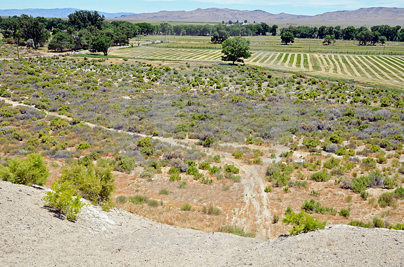 VALLEY (Lincoln Highway Lahontan Valley NV)