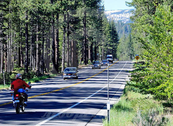 MOUNTAIN PINES #1 (Lincoln Highway nr South Lake Tahoe CA)