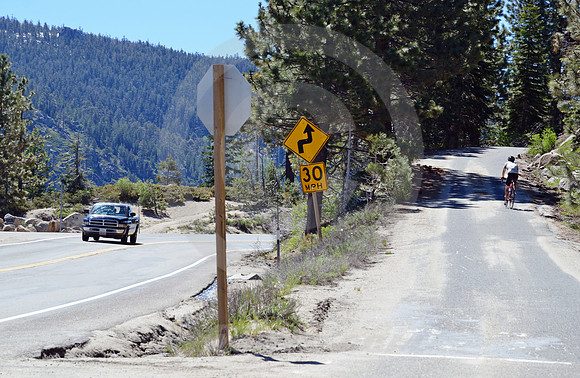 MOUNTAIN PINES #7 (Lincoln Highway nr South Lake Tahoe CA)