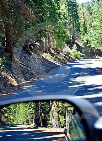 MOUNTAIN PINES #10 (Lincoln Highway nr South Lake Tahoe CA)