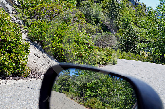 MOUNTAIN PINES #14 (Lincoln Highway nr South Lake Tahoe CA)