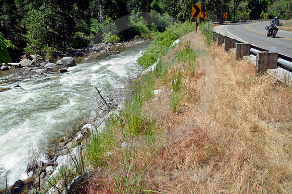 AMERICAN RIVER (Lincoln Highway nr Pollock Pines CA)