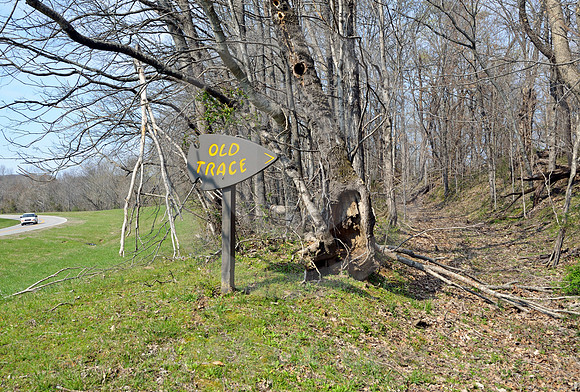 OLD TRACE #2 (Natchez Trace nr Leipers Fork TN)