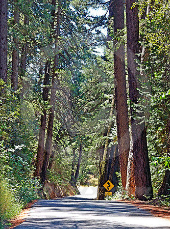 NEXT 1 MILE (Lincoln Highway nr Dutch Flat CA)