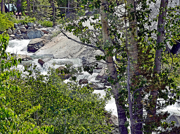 RIVER & TREES (Lincoln Highway nr Soda Springs CA)