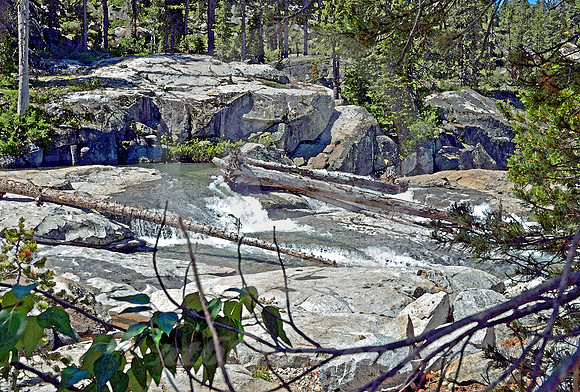 DOWNED TREES (Lincoln Highway nr Soda Springs CA)