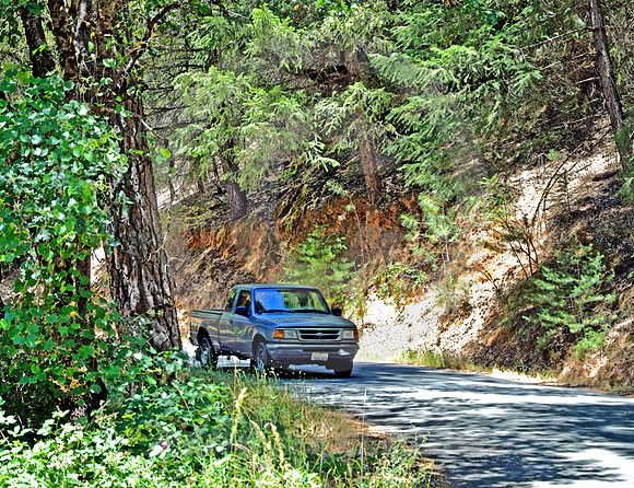 FORD TRUCK (Lincoln Highway nr Dutch Flat CA)