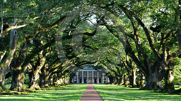 OAK ALLEY #149 (Vacherie LA)
