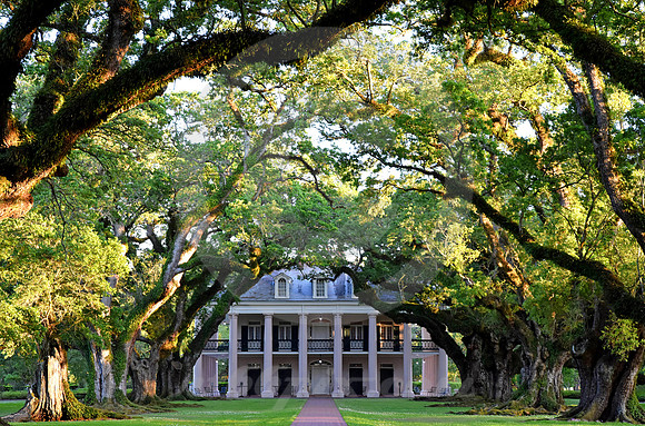 OAK ALLEY #151 (Vacherie LA)