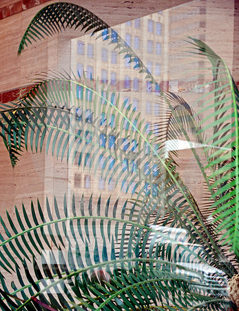 PLANT & TRUCK (National Road Columbus OH)