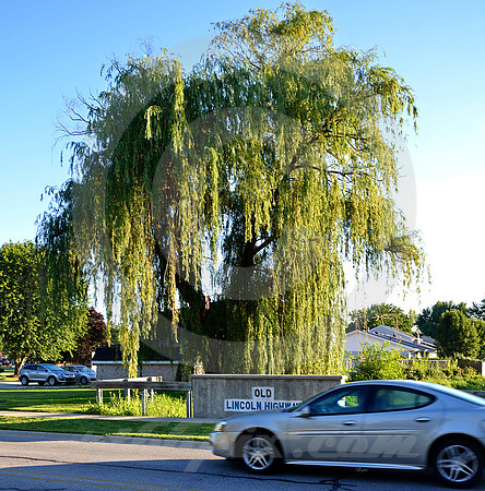 OLD BRIDGE & WILLOW (Lincoln Highway Schererville IN)