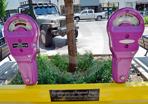 COLORADO STYLE #36 (Grand Junction CO)