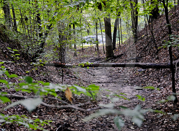 SUNKEN TRACE #3 (Natchez Trace nr Port Gibson MS)
