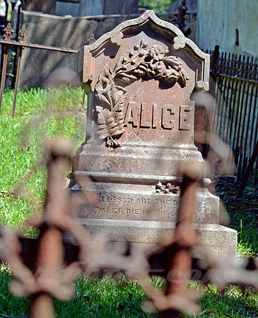 NATCHEZ #88 (Natchez Trace Natchez MS)