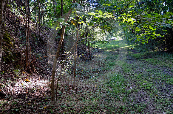 OLD TRACE #3 (Natchez Trace nr Natchez MS)