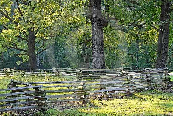 FENCE CORNER (Natchez Trace nr Natchez MS)