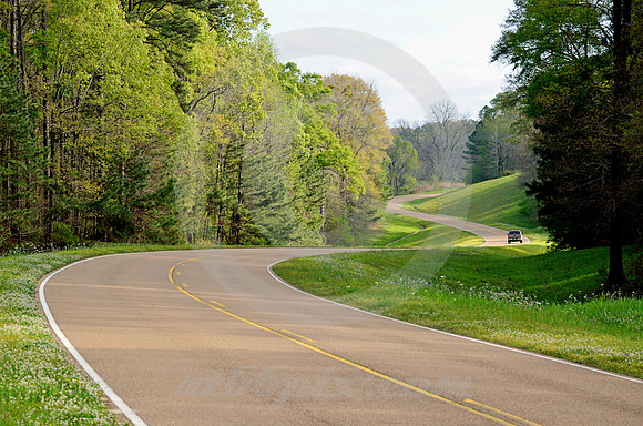 ENJOYING CURVES (Natchez Trace nr Natchez MS)