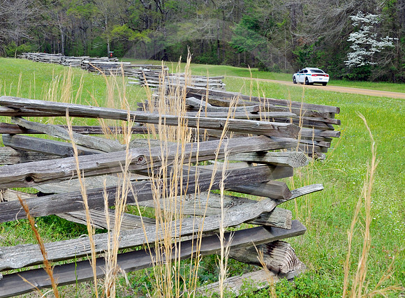 FENCE & RANGER (Natchez Trace nr Fayette MS)