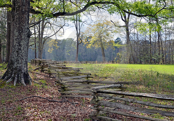 TREE, FENCE & FIELD (Natchez Trace nr Fayette MS)