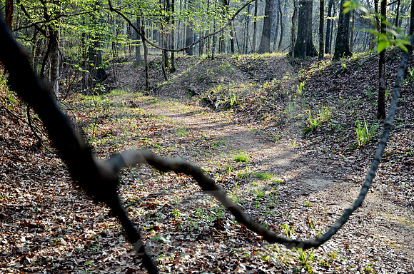 CURVED BRANCH (Natchez Trace nr Port Gibson MS)