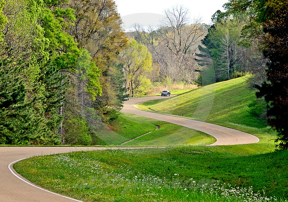 CURVES AHEAD (Natchez Trace nr Natchez MS)
