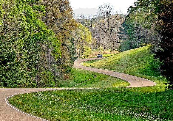 CURVES AHEAD #2 (Natchez Trace nr Natchez MS)