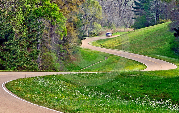 WHITE PICKUP ON CURVES (Natchez Trace nr Natchez MS)