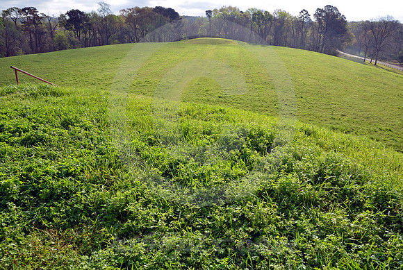 EMERALD MOUND #1 (Natchez Trace nr Natchez MS)