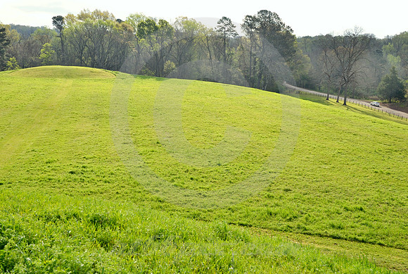 EMERALD MOUND #2 (Natchez Trace nr Natchez MS)