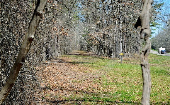 OLD & NEW (Natchez Trace nr Tupelo MS)