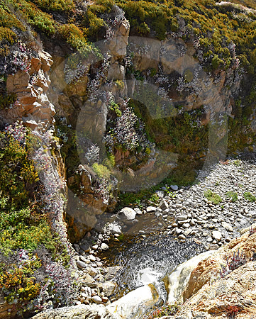 WATERFALL & COVE (Pacific Coast Highway nr Monterey CA)
