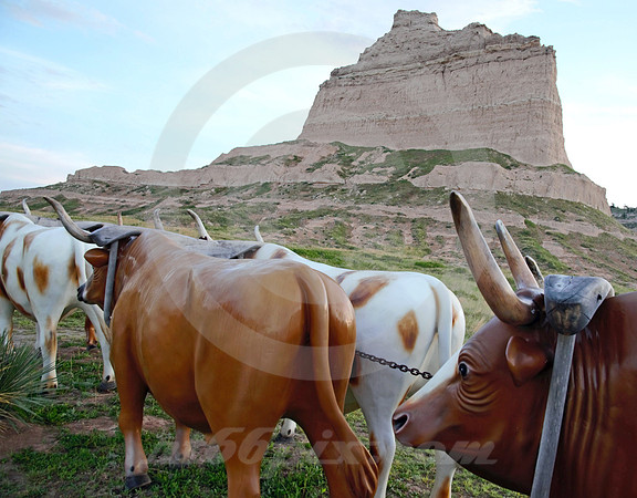 OX TEAM (Gering NE)