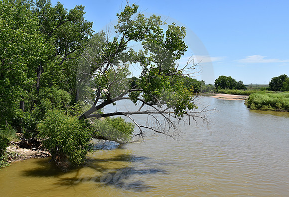 PLATTE RIVER #12 (nr North Platte NE)