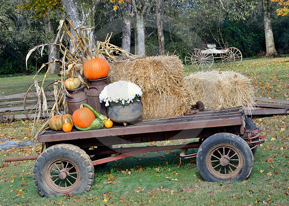 WAGON & BUGGY (Natchez Trace Leiper's Fork TN)