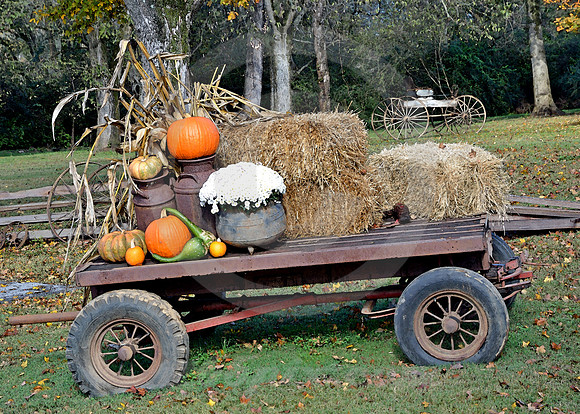 WAGON & BUGGY (Natchez Trace Leiper's Fork TN)