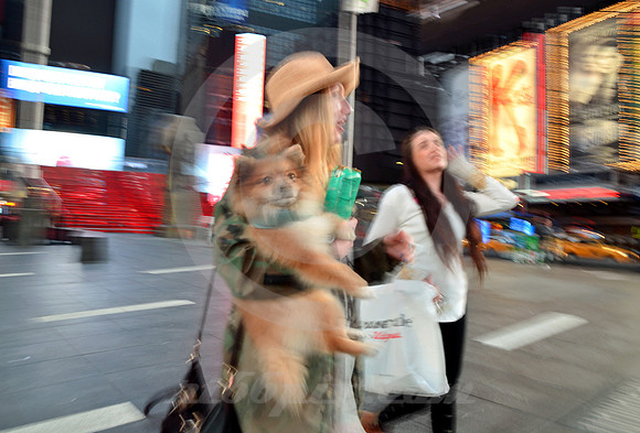 TIMES SQUARE #179 (Lincoln Highway New York)