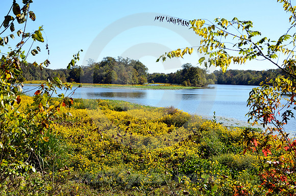 RIVER BEND #1 (Natchez Trace nr Canton MS)
