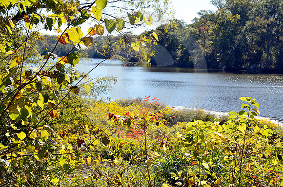 RIVER BEND #2 (Natchez Trace nr Canton MS)