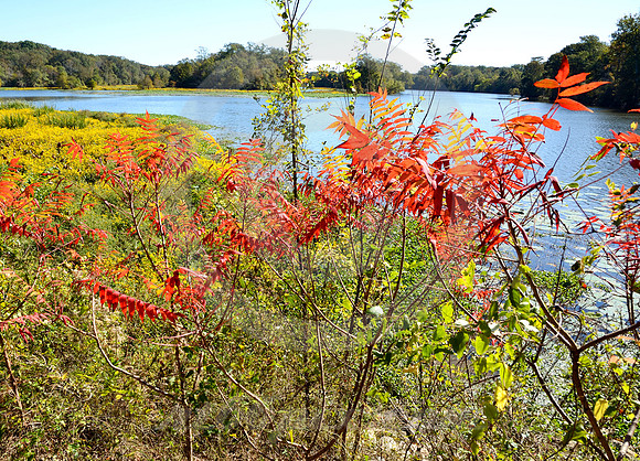 RIVER BEND #3 (Natchez Trace nr Canton MS)