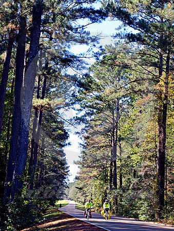 CYCLISTS IN SUN (Natchez Trace nr French Camp MS)