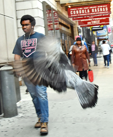 MIDTOWN #285 (New York)