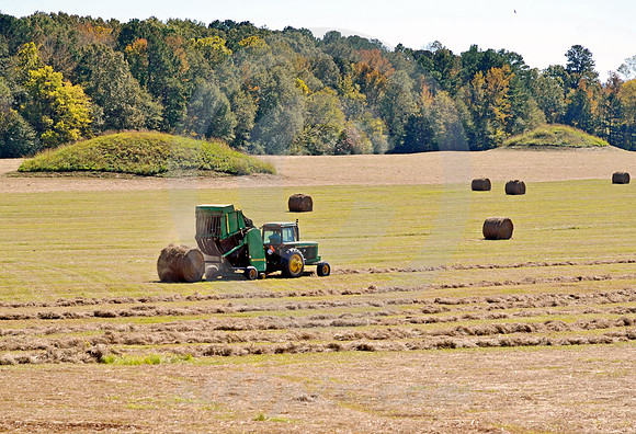INDIAN MOUNDS (Natchez Trace nr Tupelo MS)