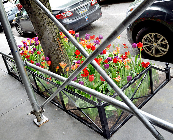 MIDTOWN #48 (New York)