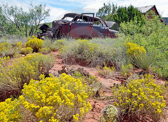 FLOWERING FORD (Rt 66 Cuervo NM)