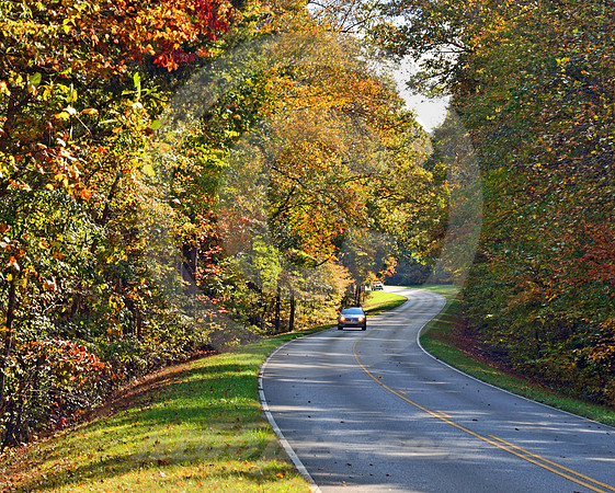 AUTUMN SCENE (Natchez Trace nr Collinwood TN)