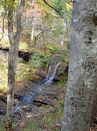 FALL HOLLOW (Natchez Trace nr Hohenwald TN)