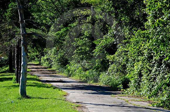 SHADY SECTION (Lincoln Highway nr Columbia City IN)