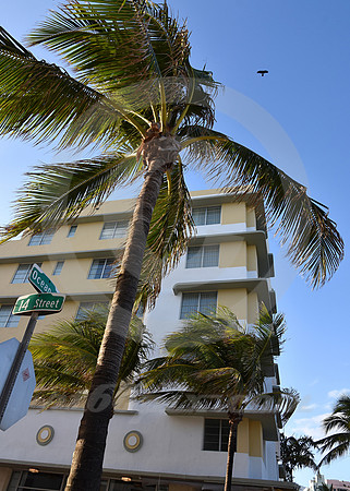 MIAMI BEACH #132 (Miami Beach FL)