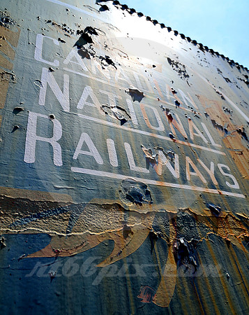 MAPLE LEAF & RUST (Scranton PA)