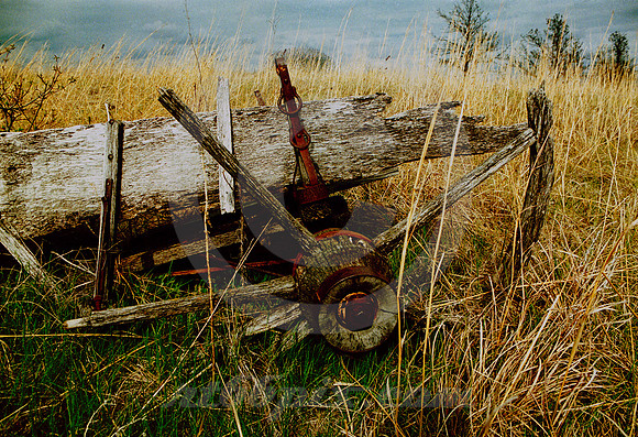 WAGON WHEEL REMNANT (NE)